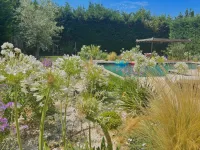 piscine-provence-1