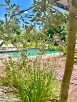 piscine-provence-9