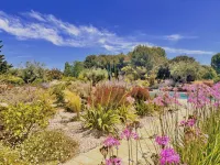 piscine-forme-libre-1