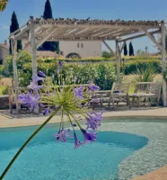 piscine-forme-libre-2