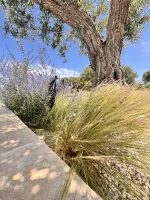 piscine-forme-libre-9