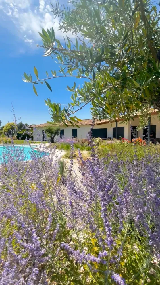 piscine-forme-libre-12