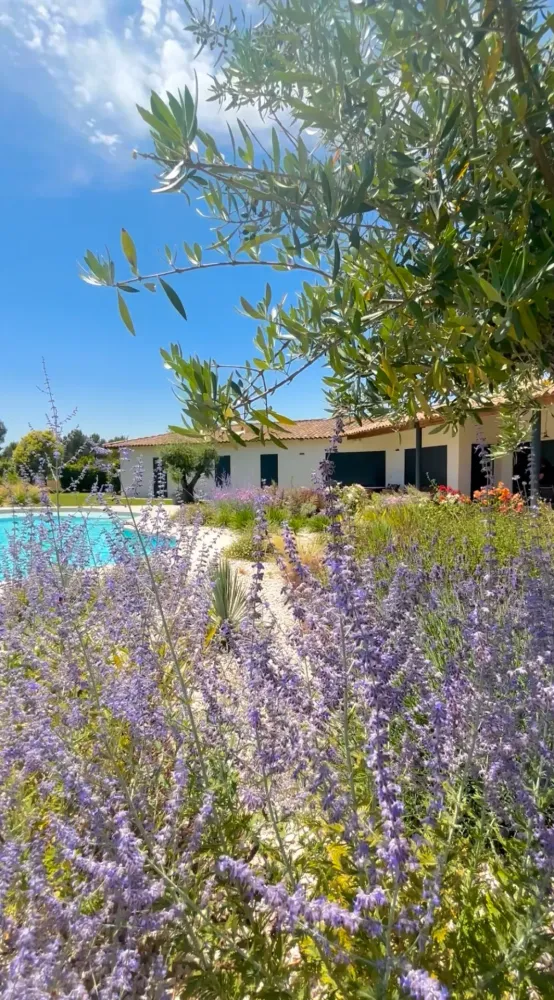 design de jardin à Aix-en-Provence