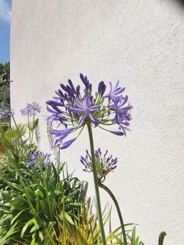 olivier-aix-provence-3