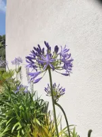 olivier-aix-provence-3