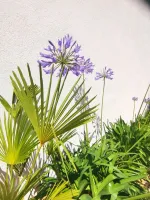 olivier-aix-provence-4