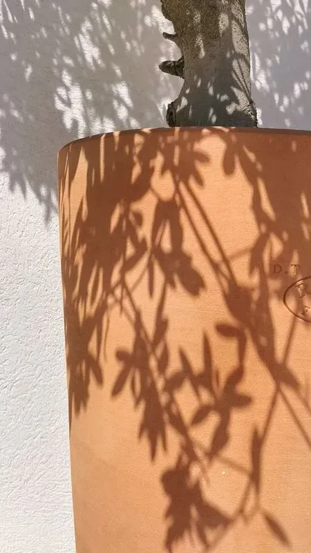 olivier-aix-provence-13