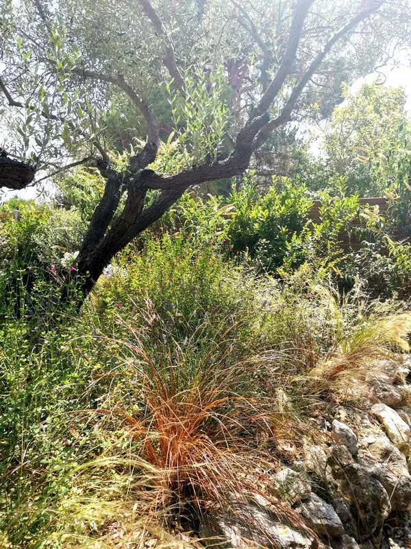 prive-aix-en-provence-2