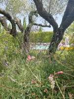 prive-aix-en-provence-5