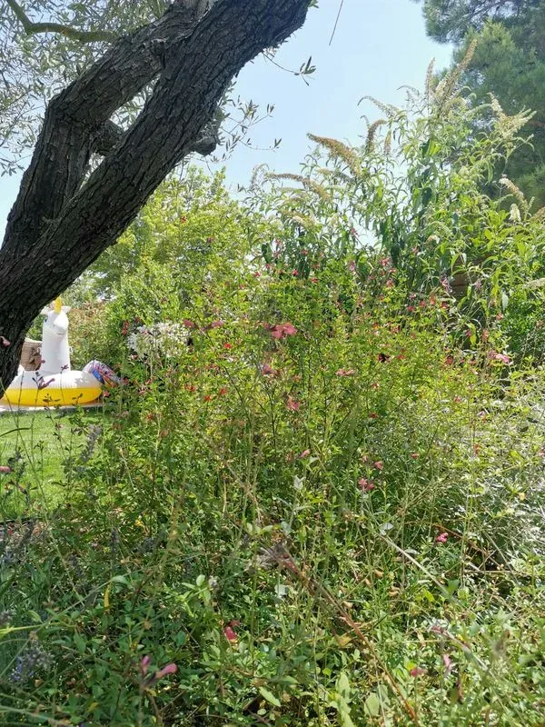 prive-aix-en-provence-6