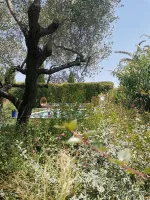 prive-aix-en-provence-7