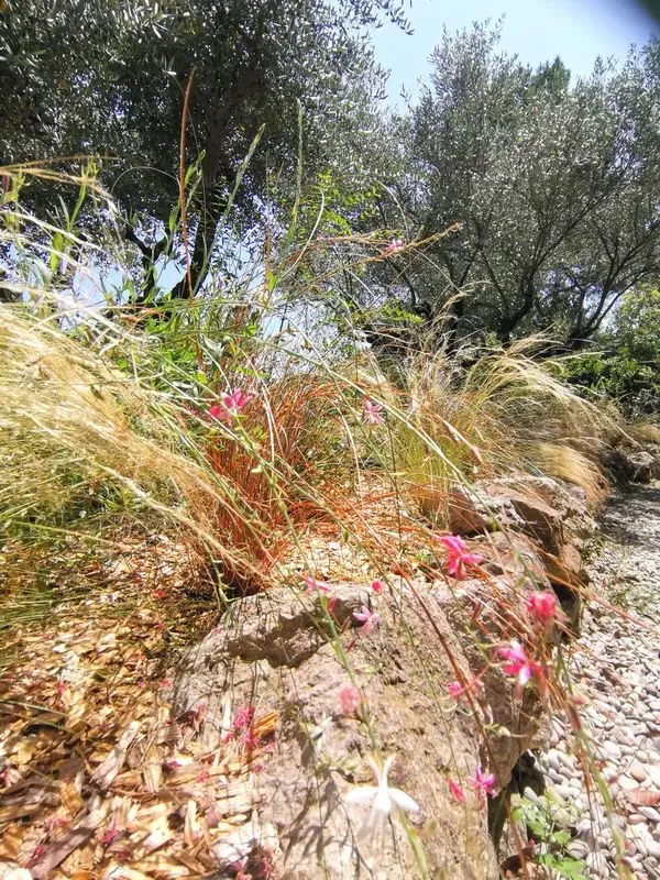 prive-aix-en-provence-13