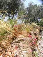 prive-aix-en-provence-13