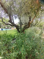 prive-aix-en-provence-18