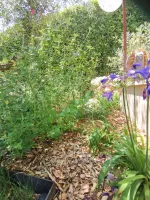 prive-aix-en-provence-27