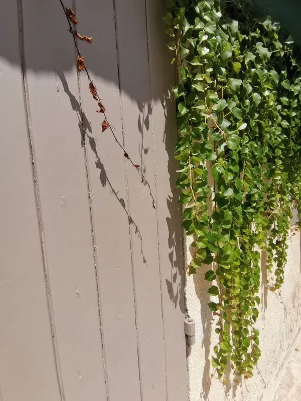 prive-aix-en-provence-31