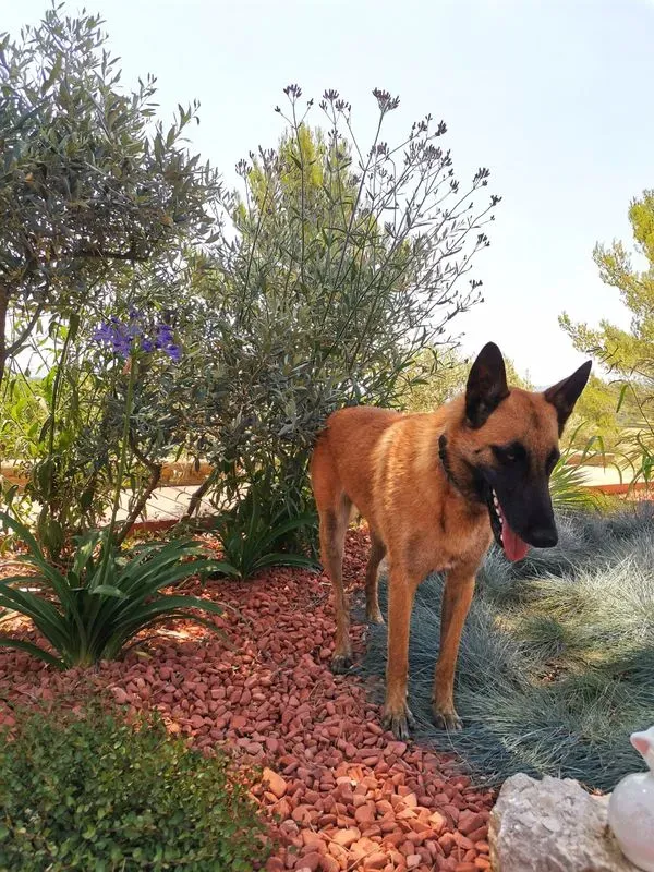 prive-le-tholonet-10