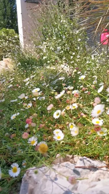 prive-le-tholonet-34