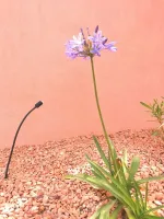 jardin-puyricard-2-5