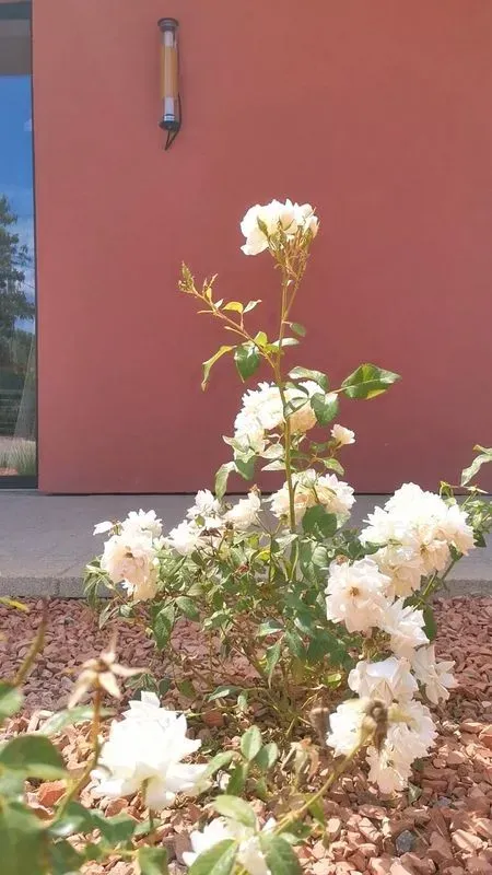 jardin-puyricard-2-15