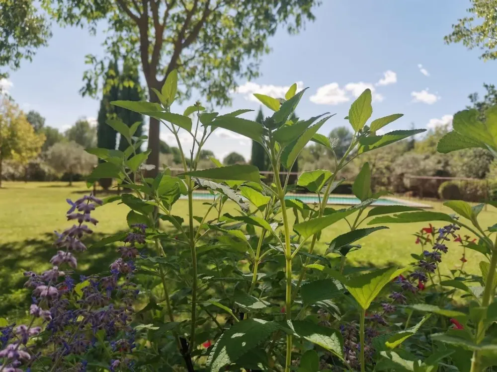 jardin-puyricard-3-2